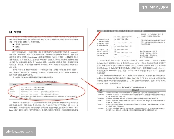 技术分析：赛后24小时内发布的官方最后两分钟报告，其生成与审核的自动化程度提升